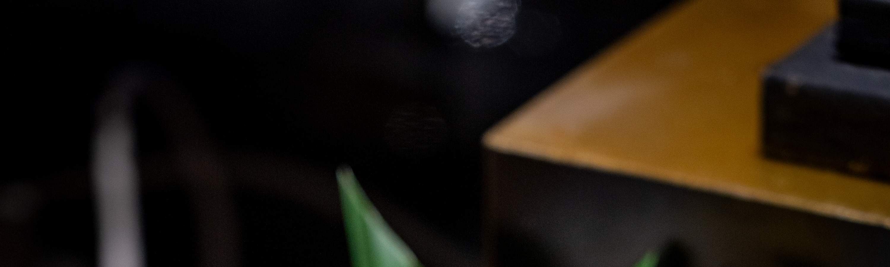 Khuyến mãi đồ ăn Buffet tối